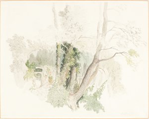Trees at Beddington by Robert Hills