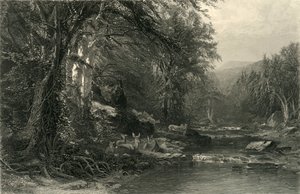 The Adirondack Woods, 1874 by Robert Hinshelwood