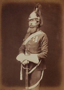 Sergeant-Major Bailey, 1st Royal Dragoon Guards by Robert Howlett