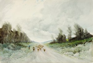 A Northumberland Road by Robert J. Hewitt
