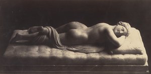 The Hermaphrodite by Robert MacPherson