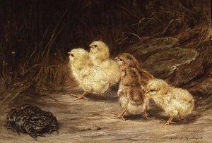 Chicks and Toad by Robert Morley