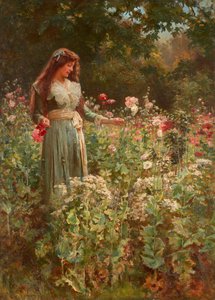 Gathering Poppies