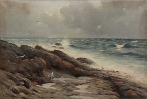 Rocky Coastline