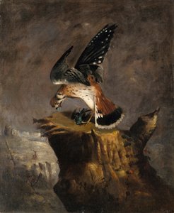 Vulture and Its Prey, 1844