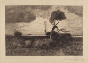 Near the Coast