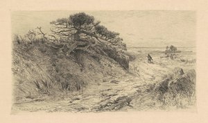 The Path to the Shore