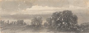 Landscape - Trees