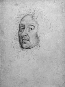 Male Portrait