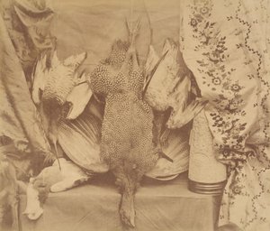 Still Life and Embroidery