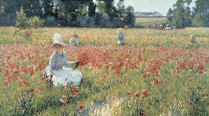 In Flanders Field - Where Soldiers Sleep and Poppies Grow