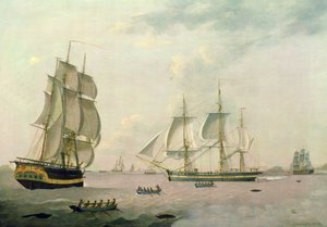 The Whaler 