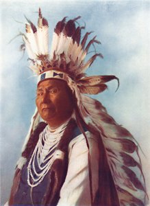 A Sahaptin Chief