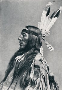 Profile View of a Sioux