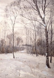 The Winter Woodland
