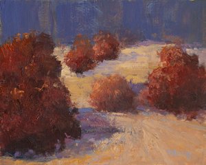 Winter Willows