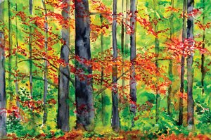 Autumn Forest Glow by RodMacIver