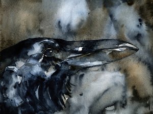 Dark Raven Profile by RodMacIver