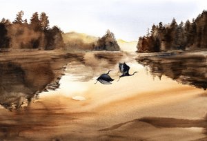 Golden Lake Birds Flight by RodMacIver