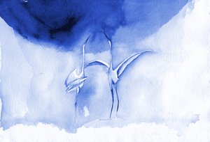 Graceful Blue Birds by RodMacIver