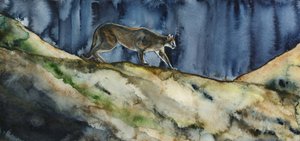 Mountain Lion Night Prowl by RodMacIver