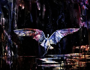 Mystical Night Flight