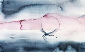 Pink Sky Bird Flight by RodMacIver