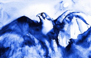 Soaring Blue Falcon by RodMacIver
