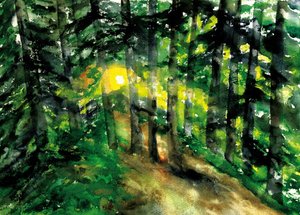 Sunlit Forest Path by RodMacIver