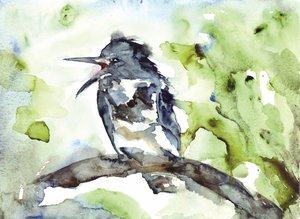 Vocal Bird Watercolor by RodMacIver