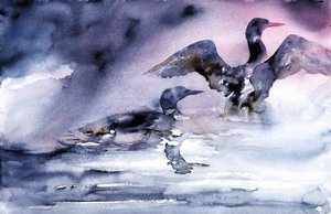 Water Birds at Dusk
