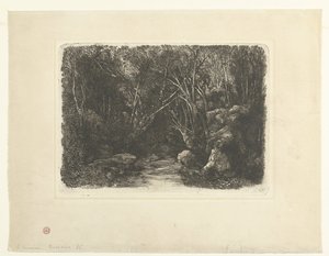 Forest Landscape with Stream and Overhanging Trees by Rodolphe Bresdin