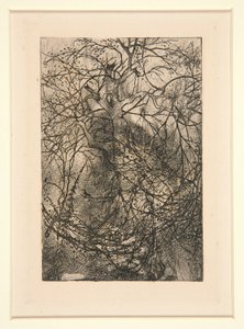 Branches