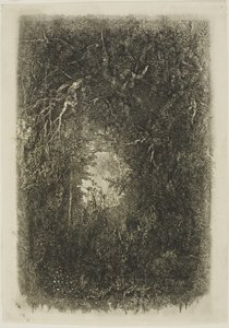 Clearing in the Forest