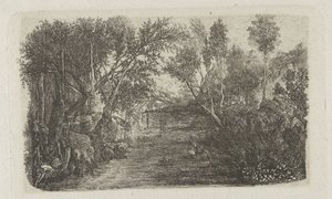 Landscape with stream and trees on banks