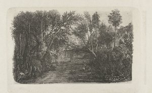 Landscape with Stream and Trees on Banks
