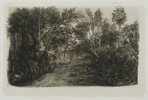 The Creek by Rodolphe Bresdin
