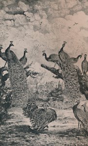 The Peacocks, 1869, 1946 by Rodolphe Bresdin