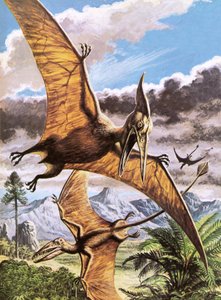 Pteranodon and Rhamphorhynchus by Roger Payne