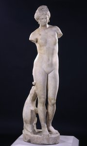 Aphrodite of Cyrene by Roman