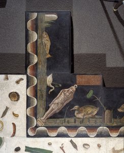 Asarotos (Floor Unswept) Fragments of Mosaic Signed by Harakliton from Rome, 2nd Century AD