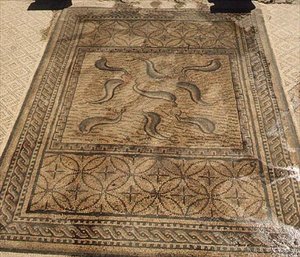 Dolphins, Roman Mosaic from the House of Orpheus