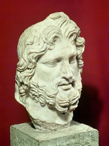 Head of Jupiter
