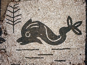 Representation of a dolphin after a mosaic in the square of the Corporazioni of Ostia antica