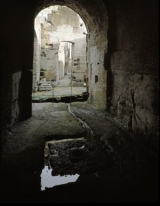 View of the Underground Passages of the Colosseum