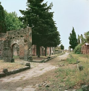 The Graves Way and the Herculaneum Gate