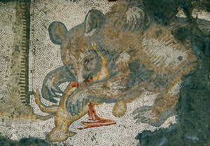 Unknown Image by Roman