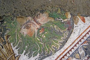 Unknown Image