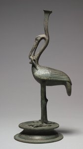 Ibis Eating a Lizard