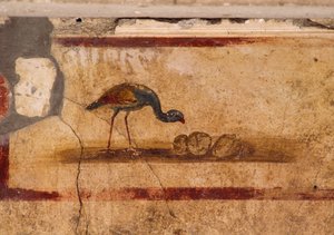 Fresco Depicting Bird from Peristylium in House of Caius Julius Polybius, Pompeii (UNESCO World Heritage List)